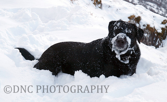 Max Ben Nevis 07.02.09
