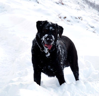 Max Ben Nevis 3.