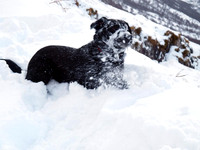 Max Ben Nevis 07.02.09