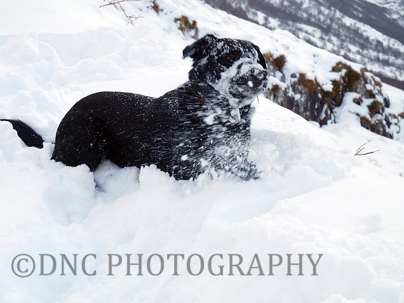 Max Ben Nevis 07.02.09