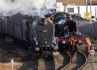 A4 60009 & Hall 4965 service in Terrace CHS Lincoln