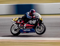 Dominique Sarron Team Elf Honda/ROC NSR500