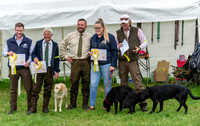 3rd place 'The Tall, Short and Even Shorter' National Gundog Team Challenge
