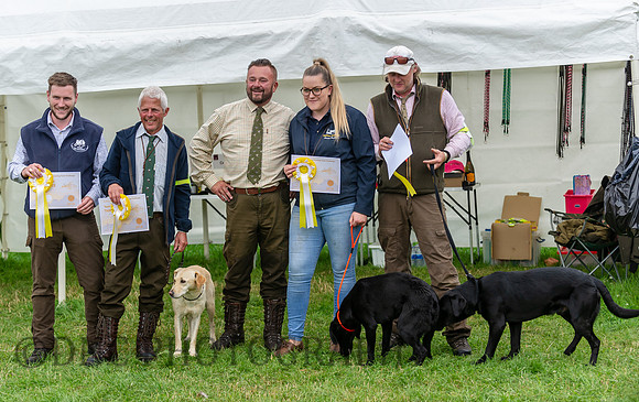 3rd place 'The Tall, Short and Even Shorter' National Gundog Team Challenge