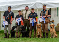 2nd place 'Kirkbourne Blrnheim' Kirkbourne National Gundog Team Challenge