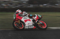 Luca Cadalora Yamaha YZR250