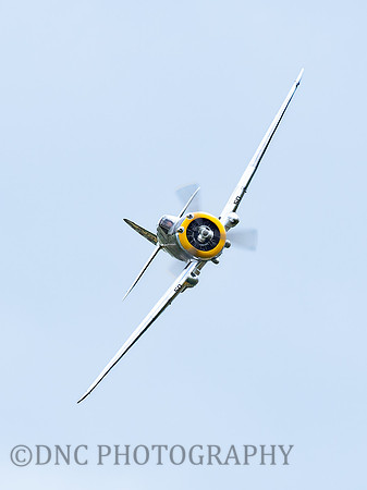 Curtiss P-36C Hawk PA-501