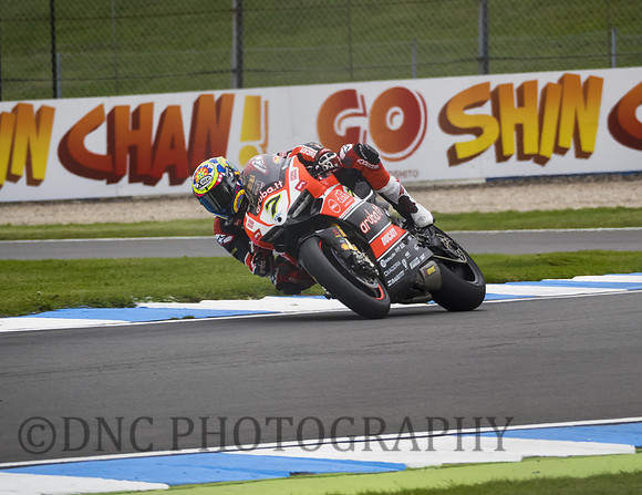 Chaz Davies Ducati Panigale R
