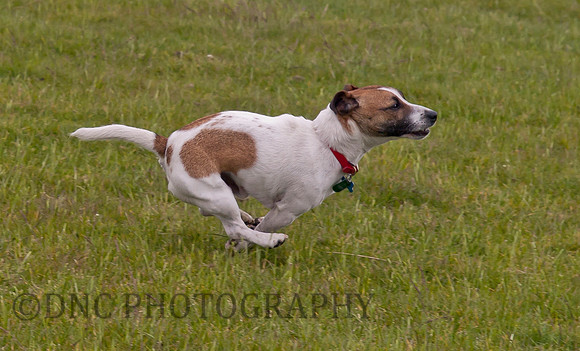 Butch's first holiday Marfit Head Farm 28.05.2011