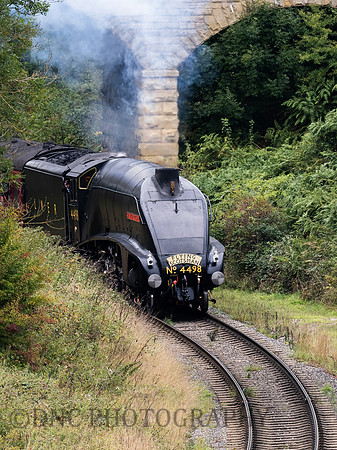LNER A4 4498 Sir Nigel Gresley passes under the bridge at Darnholm