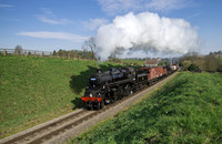 Std 4 2-6-0 76001 (76079) with the freight near Sadler House