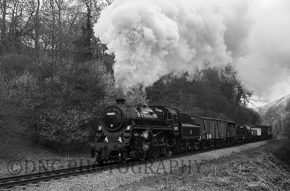 BR Std 4 76001 (76079) approaches Darnhom