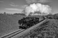 Std 4 2-6-0 76001 (76079) Morning freight near Sadler House