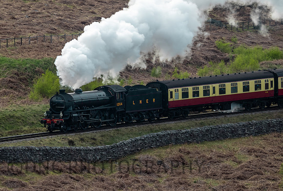 LNER B1 1264 passing Moorgates 10th May