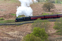 LNER B1 1264 passing moorgates