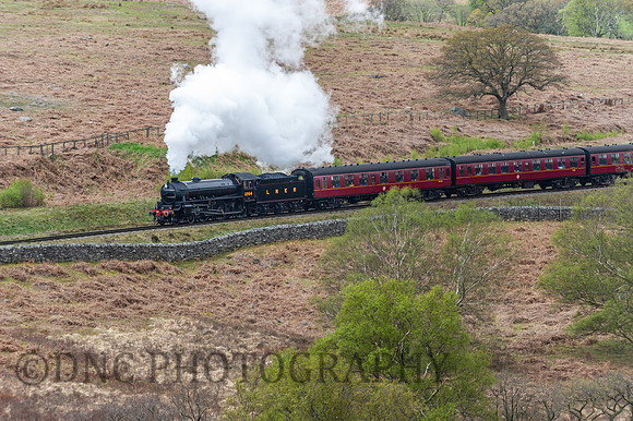 LNER B1 1264 passing moorgates