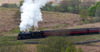 LNER B1 1264 passing moorgates 12.30 Grosmont to Pickering