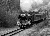 Flying Scotsman approaching Darnholm NYMR