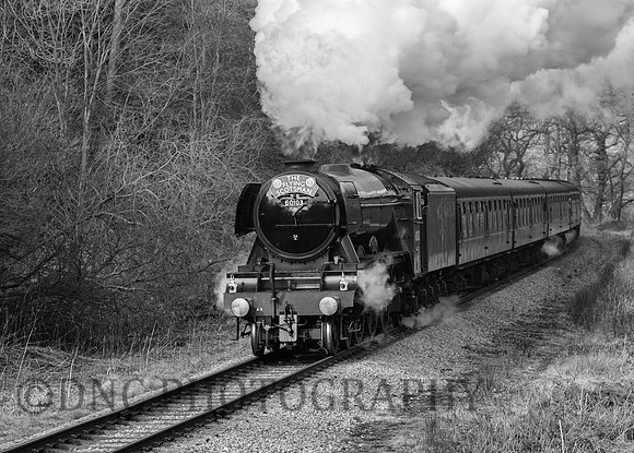 Flying Scotsman approaching Darnholm NYMR