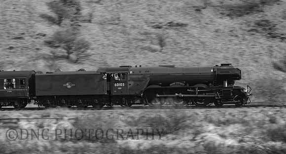 Flying Scotsman coast towards Newton Dale