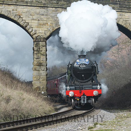 Flying Scotsman Darnholm NYMR