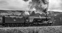 Passing Moorgates after receiving assistance from 45428 Eric Treacy 20.03.2016