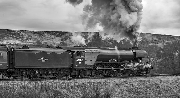 Passing Moorgates after receiving assistance from 45428 Eric Treacy 20.03.2016