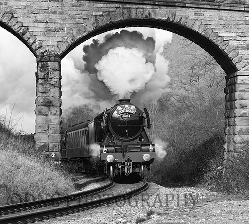 Flying Scotsman Darnholm NYMR