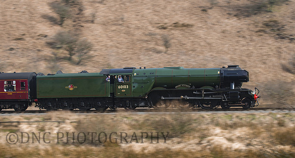 Flying Scotsman coast towards Newton Dale NYMR