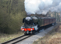 Flying Scotsman approaching Darnholm NYMR