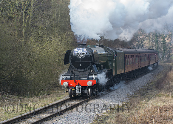 Flying Scotsman approaching Darnholm NYMR