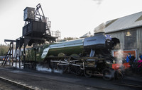 Under the coaling stage 20.03.2016