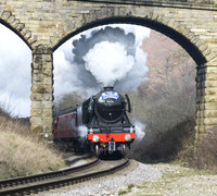 Flying Scotsman Darnholm NYMR