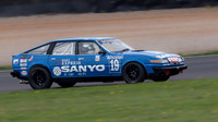 Michael Whitaker Rover SD1 .1