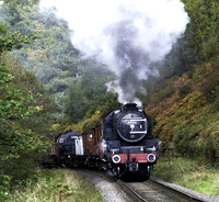 Black 5 44806 on freight