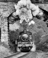 Large Prairie 5199 paases under the bridge at Darnholm.