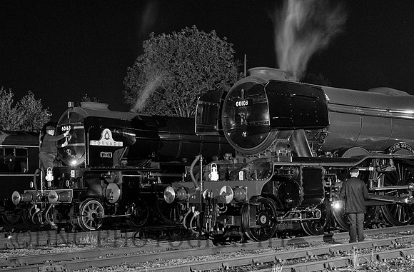 Night shift on shed.