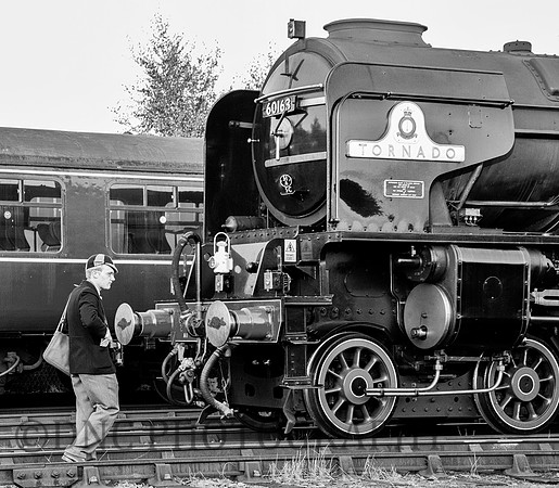 Spotter sneaks on shed.