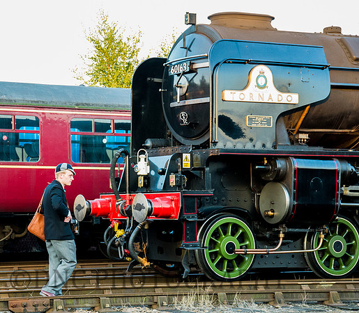 Spotter sneaks on shed