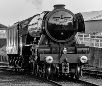 A3 60103 Flying Scotsman in the evening light.