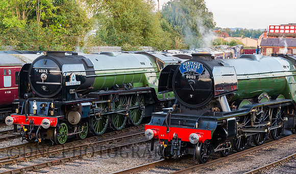 60103 & 60163 Barrow Hill