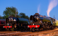 60103 & 60163