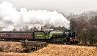 A1 60163 Tornado passing Moorgates 10.03