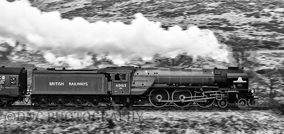 A1 60163 Tornado with the 15.40 Grosmont to Pickering..
