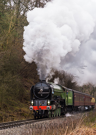 A1 60163 Tornado climbs towards Darnholme10.03