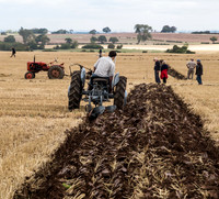 Vintage tractor ploughing.