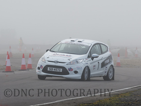 David White & David Scorah Ford Fiesta R2