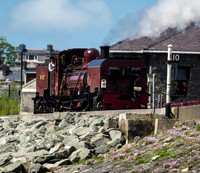 WHR 138 runs round the stock