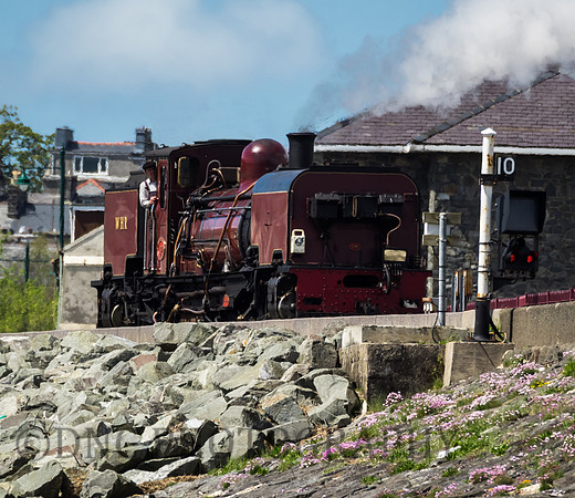 WHR 138 runs round the stock