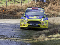 Stephen Petch & Michael Wilkinson Ford Fiesta